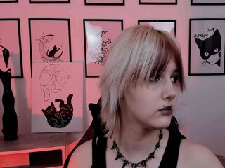 ViAngel cam